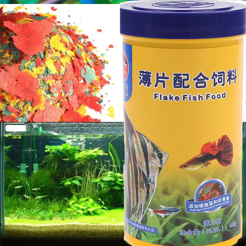 Health Wellness Items - Fish Food Coloring and Brightening Feed