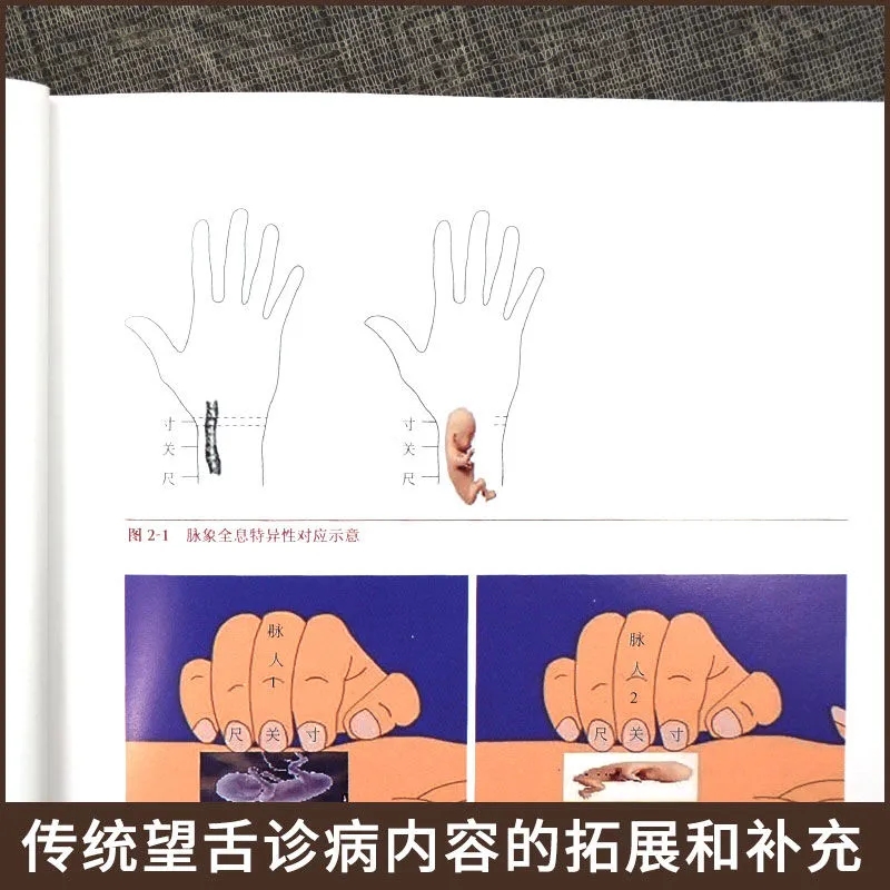 Tongue Diagnosis Holistic Theo - Holistic Health & Wellness 리뷰 및 가격