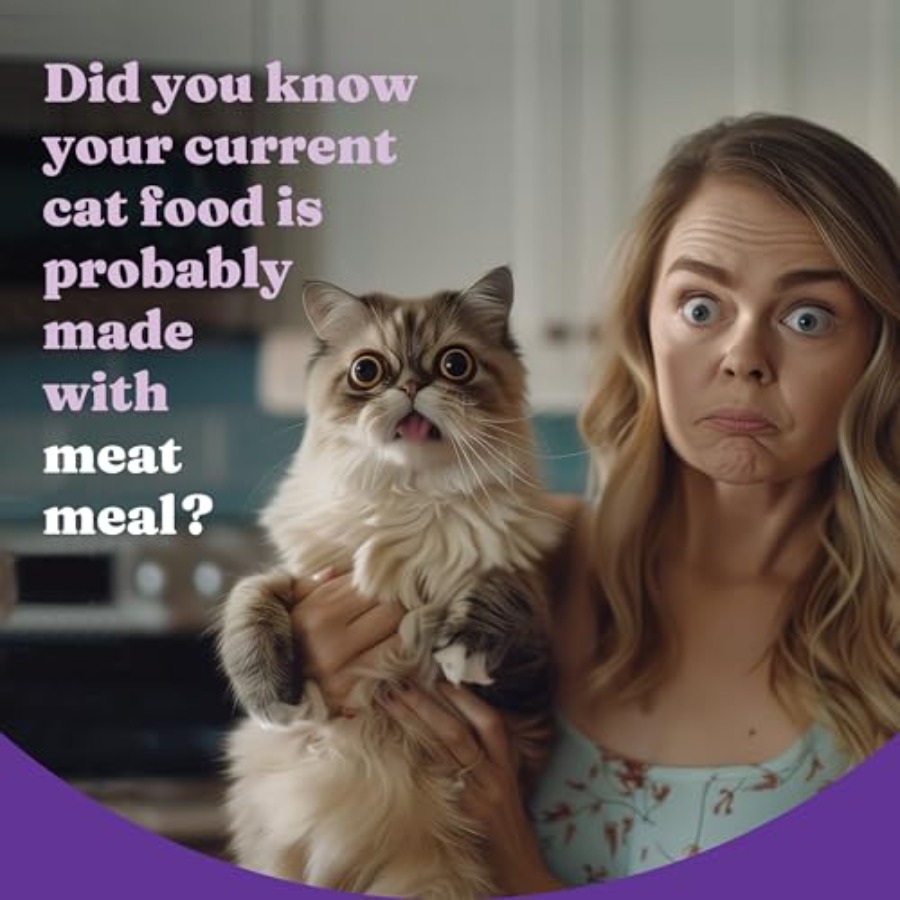 Holistic Cat Food Wild Caught  - Holistic Health & Wellness 리뷰 및 가격