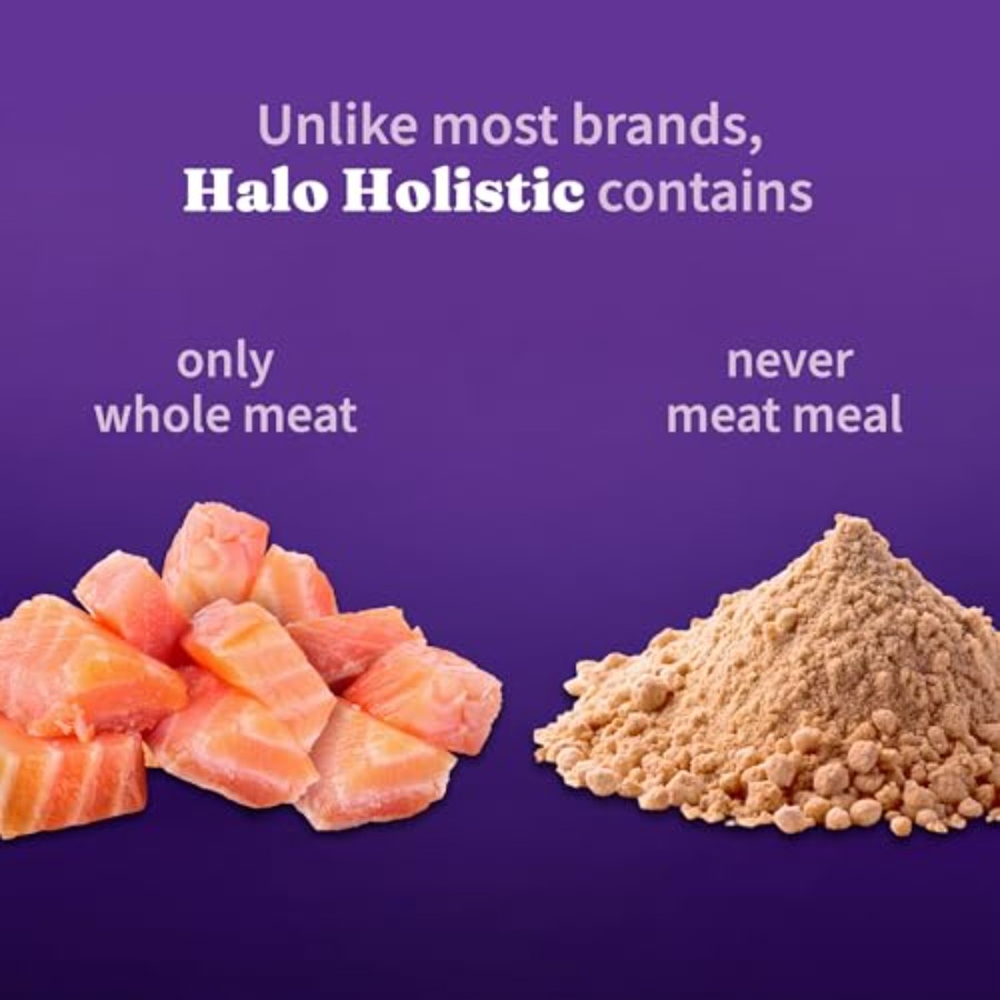 Holistic Cat Food Wild Caught  - Holistic Health & Wellness 리뷰 및 가격