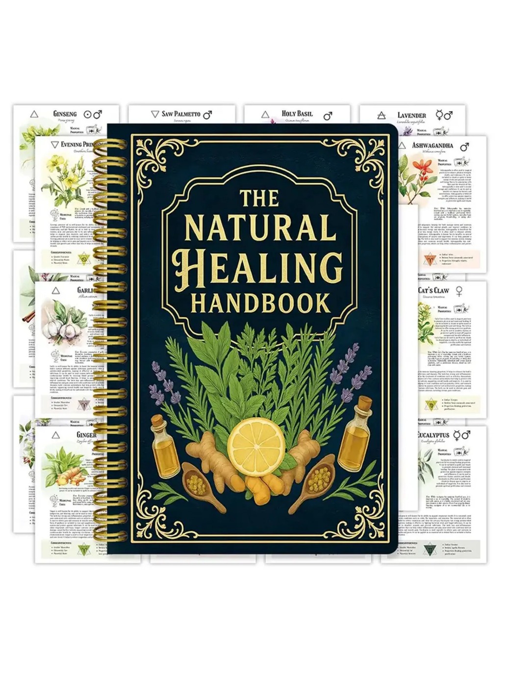 2026 Natural Healing Handbook  - Holistic Health & Wellness 리뷰 및 가격