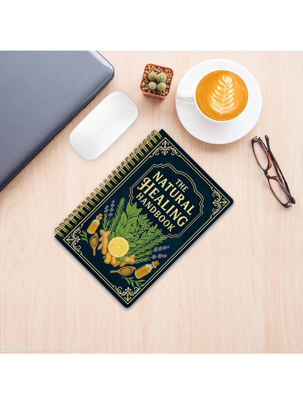 2026 Natural Healing Handbook  - Holistic Health & Wellness 리뷰 및 가격