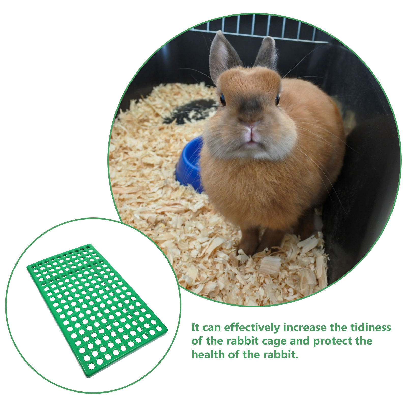 Rabbit Cage Pad Plastic Draina - Acupressure Mat Set 리뷰 및 가격