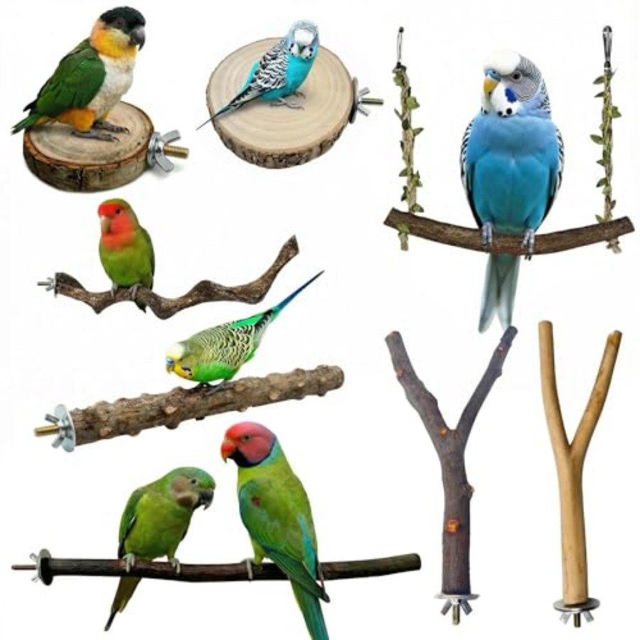 8PCS natural wood bird perches - Health & Wellness Rehab 리뷰 및 가격