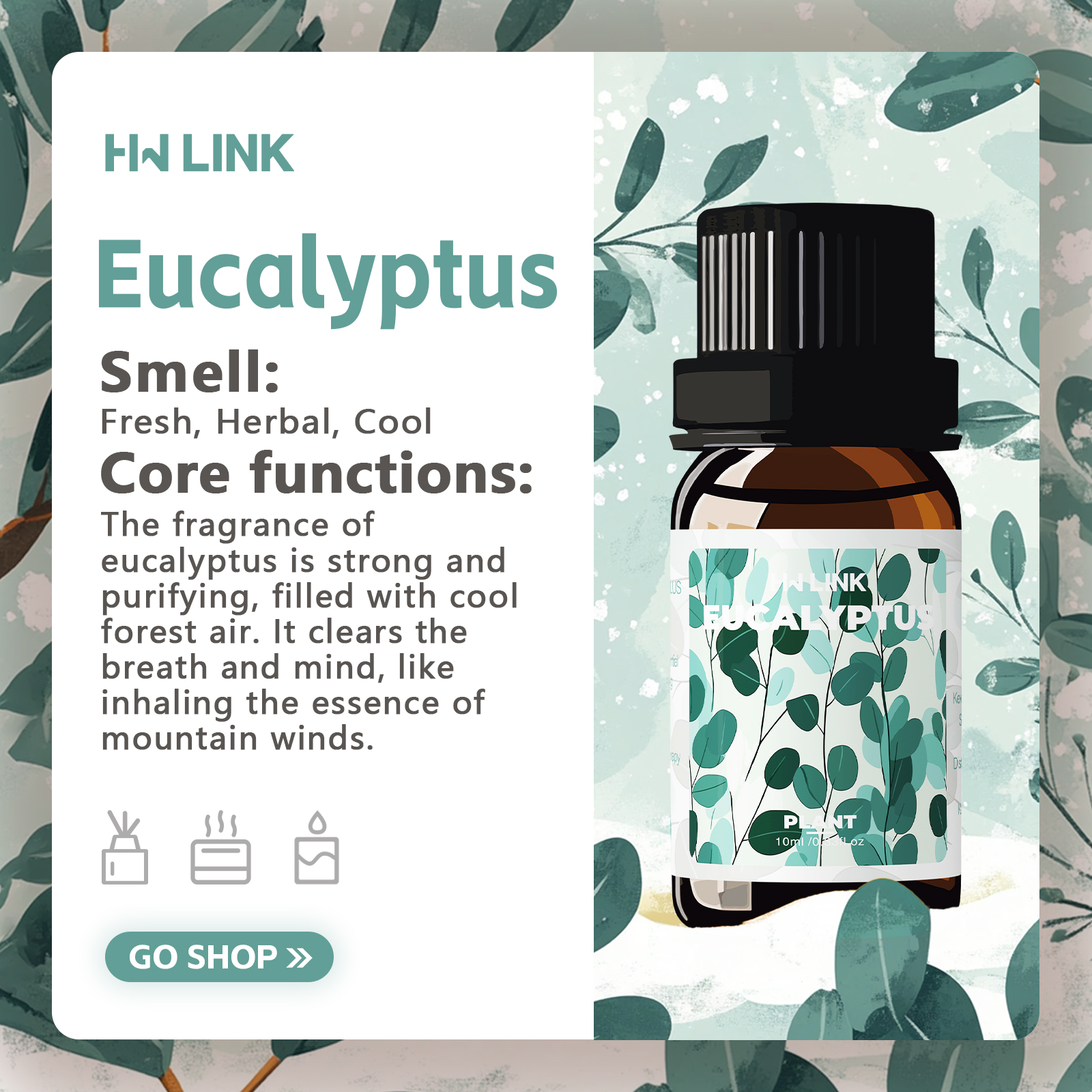 Eucalyptus Essential Oils 10ml - Aromatherapy Diffuser 리뷰 및 가격