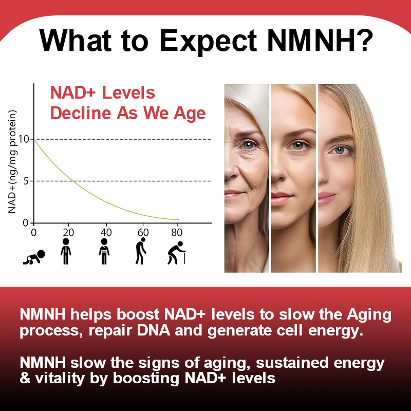 Advanced NMNH 500mg Supplement - Holistic Health & Wellness 리뷰 및 가격