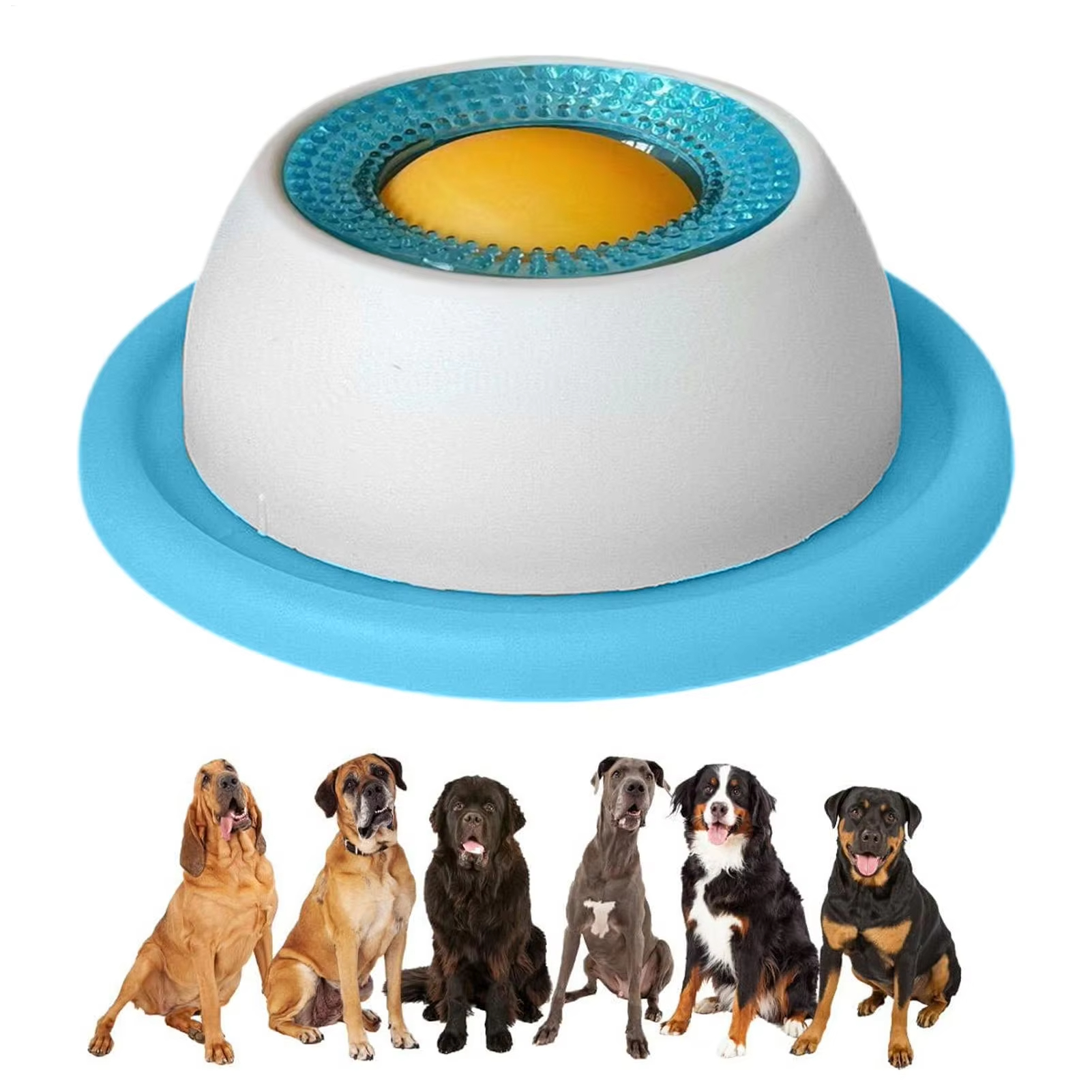 Pet Feeding Accessories Dog Tr - Health Wellness Items 리뷰 및 가격