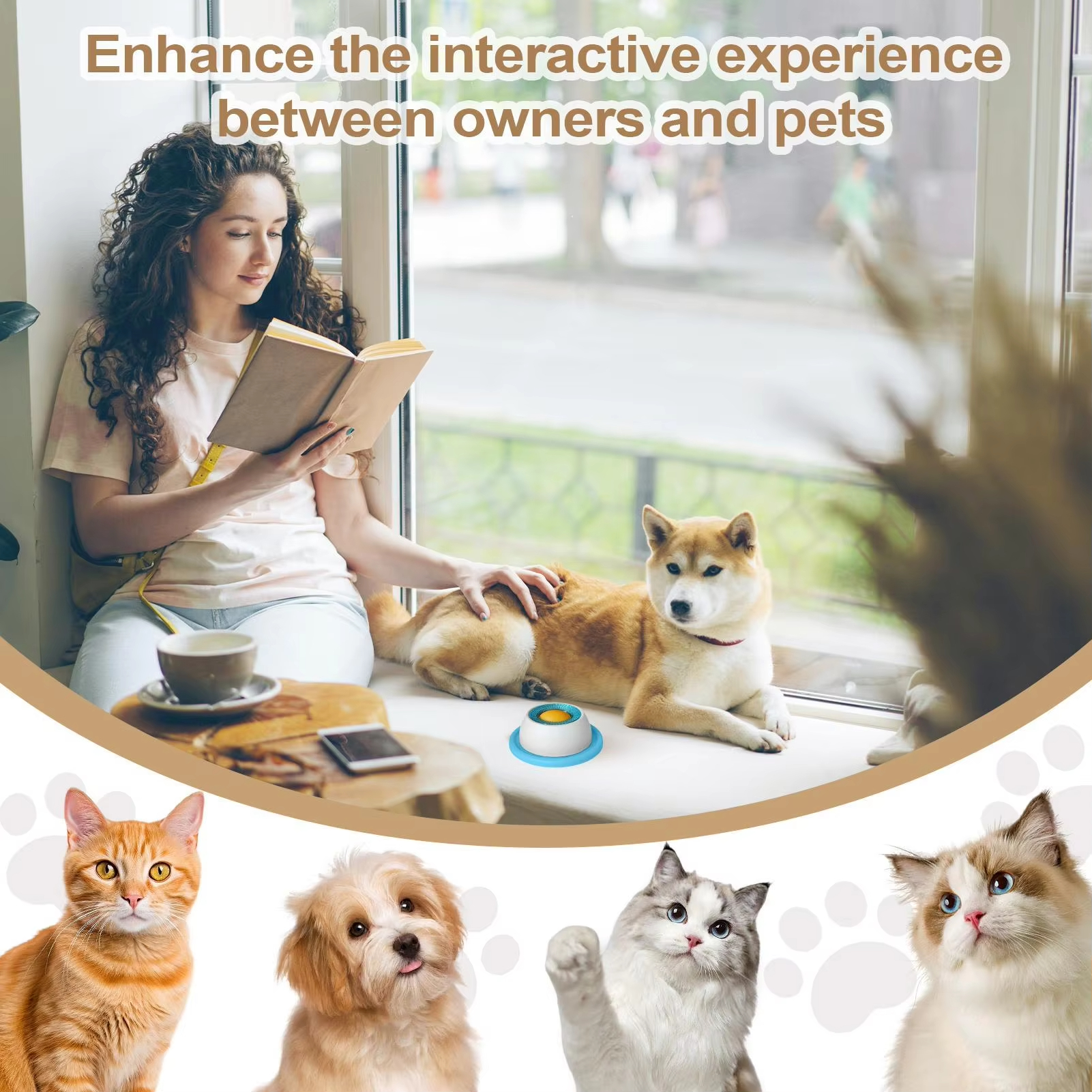 Pet Feeding Accessories Dog Tr - Health Wellness Items 리뷰 및 가격