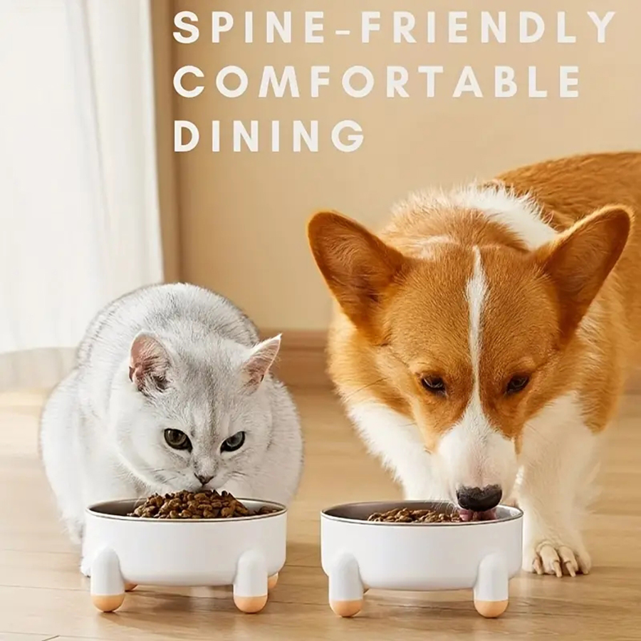 Anti-skid Pet Feeder Bowl Stai - Health Wellness Items 리뷰 및 가격