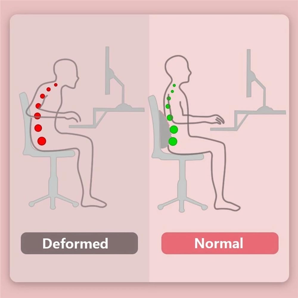 Yoga Back Trainer Lumbar Suppo - Back Stretcher Lumbar 리뷰 및 가격