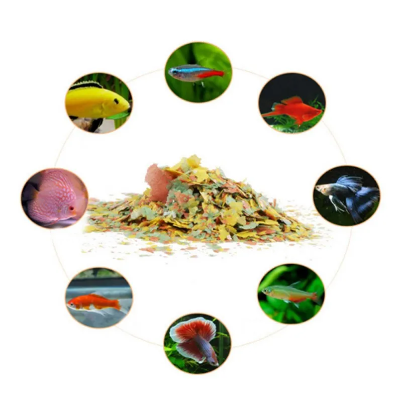 Fish Food Coloring and Brighte - Health Wellness Items 리뷰 및 가격