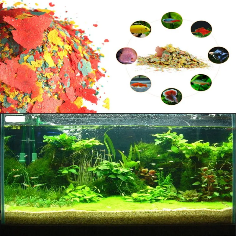 Fish Food Coloring and Brighte - Health Wellness Items 리뷰 및 가격