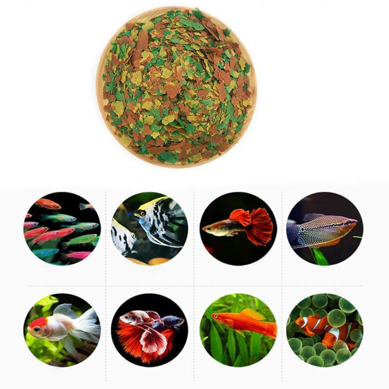 Fish Food Coloring and Brighte - Health Wellness Items 리뷰 및 가격