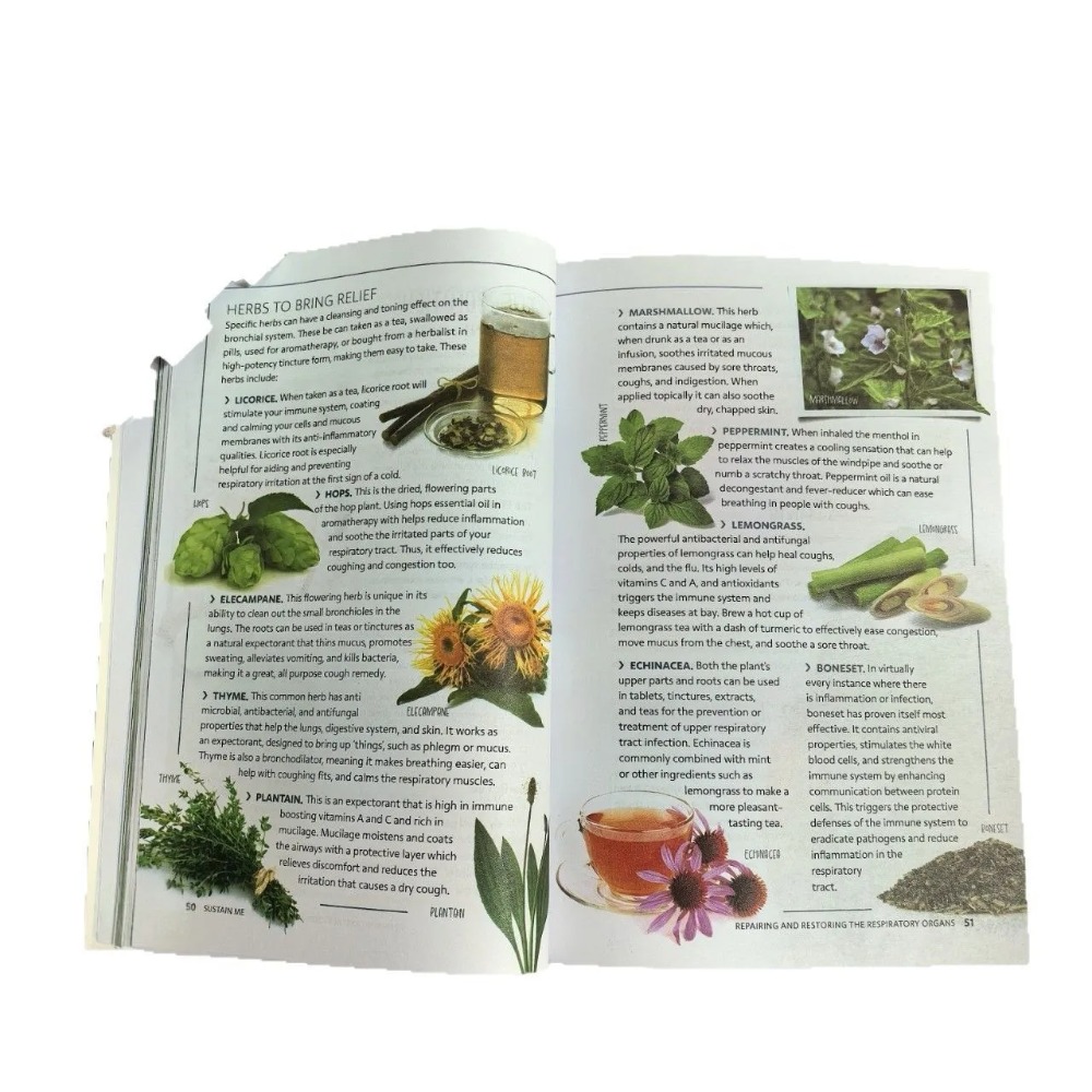 Sustain Me English Paperback b - Health Wellness Foundation 리뷰 및 가격
