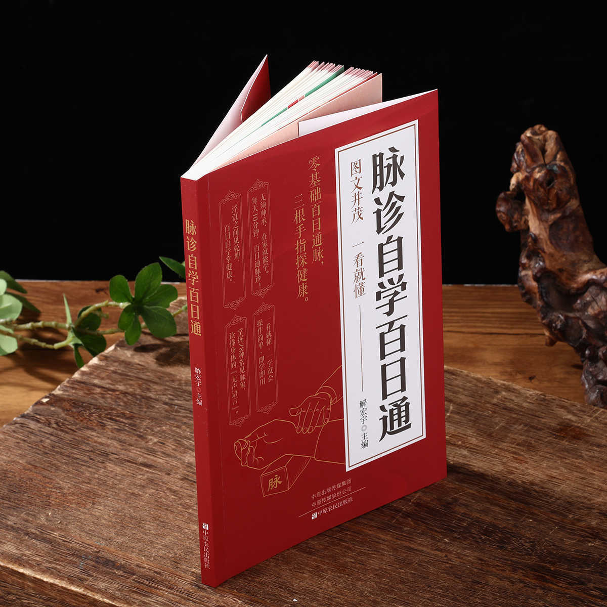 Pulse Diagnosis Self Study Hun - Health & Wellness Rehab 리뷰 및 가격